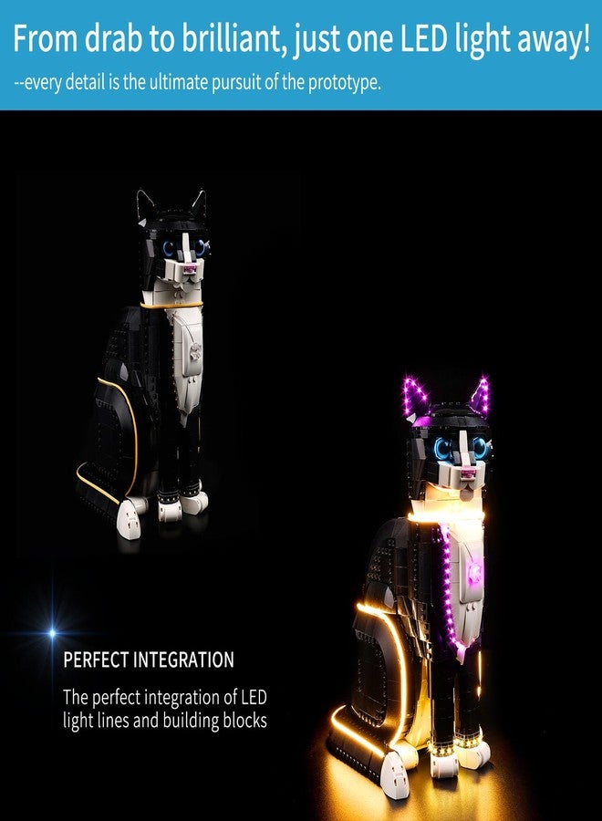 طقم إضاءة LED من BrickSoul متوافق مع ليغو 21349، طقم إضاءة متوافق مع بناء Tuxedo Cat، الإضاءة فقط (النموذج غير متضمن)، هدية رائعة لمحبي الأعمال اليدوية، إصدار كلاسيكي - Image 3
